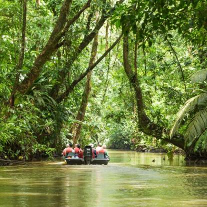 Voyage au Costa Rica - Agence de Voyage Locale Imagenes Tropicales
