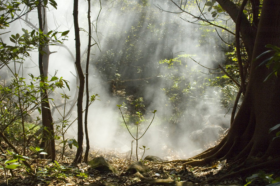 Voyage au Costa Rica - Agence de Voyage Locale Trio de Turismo
