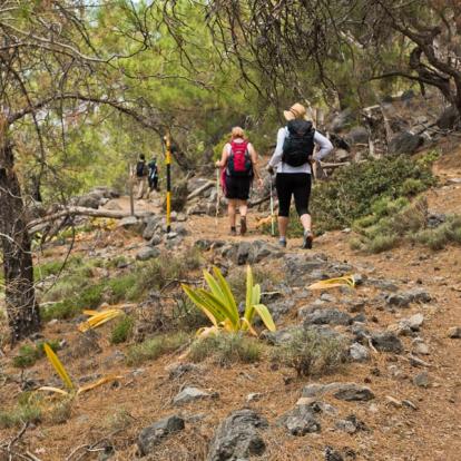 Voyage en Crète - Agence de Voyage Locale Petassos Travel