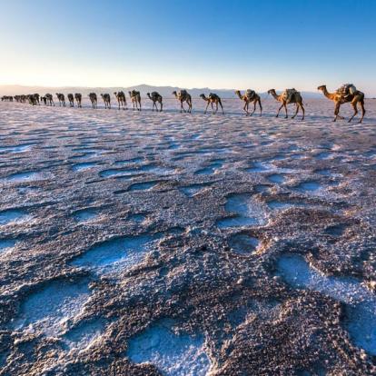 Voyage à Djibouti - Agence de Voyage Locale JM Tours & Global Nomad