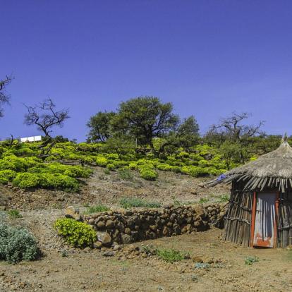 Voyage à Djibouti - Agence de Voyage Locale JM Tours & Global Nomad