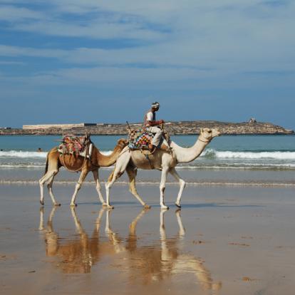 Voyage à Djibouti - Agence de Voyage Locale JM Tours & Global Nomad