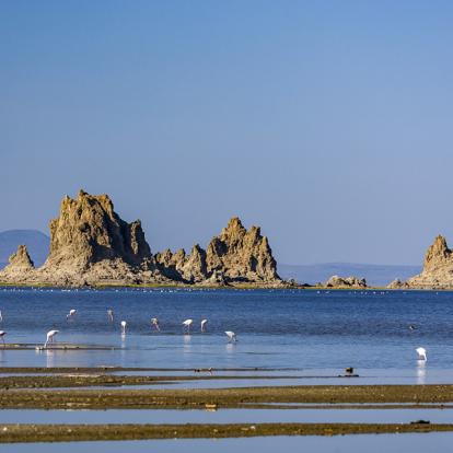 Voyage à Djibouti - Agence de Voyage Locale JM Tours & Global Nomad