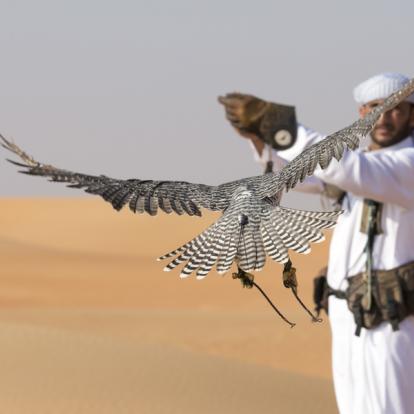 Voyage aux Emirats Arabes Unis - Agence de Voyage Locale Arabia Roots