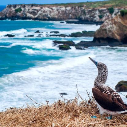 Voyage en Equateur - Agence de Voyage Locale Palmar Voyages