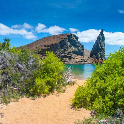 Agence de Voyage Locale en Equateur - Terra Ecuador