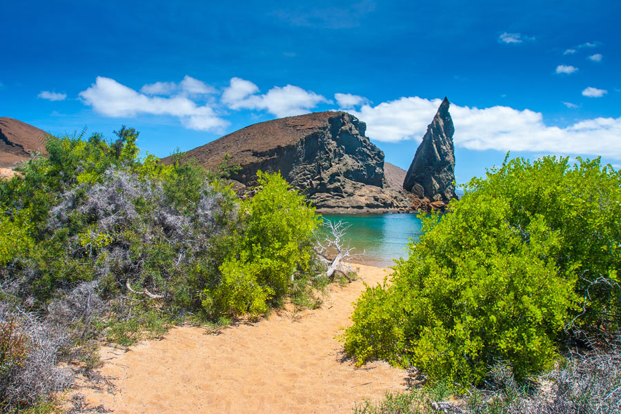 Agence de Voyage Locale en Equateur - Terra Ecuador