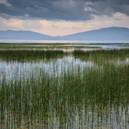 Voyage en Ethiopie - Agence de Voyage Locale Aisha Tours Ethiopia