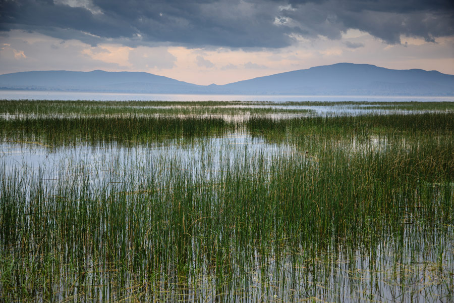 Voyage en Ethiopie - Agence de Voyage Locale Aisha Tours Ethiopia
