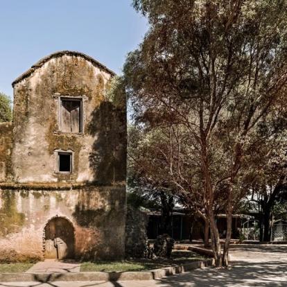 Voyage en Ethiopie - Agence de Voyage Locale Aisha Tours Ethiopia