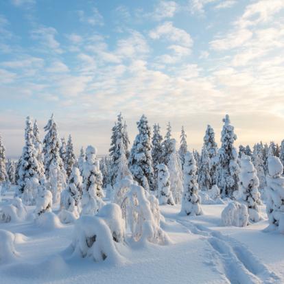 Voyage en Finlande - Agence de Voyage V·O·S