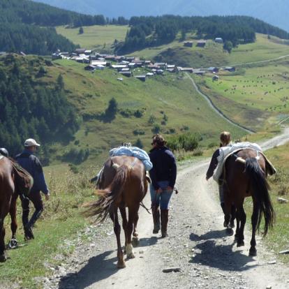 Voyage en Géorgie - Agence de Voyage Locale Caucasus Trekking Company