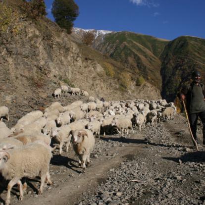 Voyage en Géorgie - Agence de Voyage Locale Caucasus Trekking Company