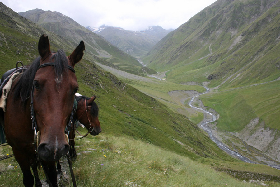 Voyage en Géorgie - Agence de Voyage Locale Caucasus Trekking Company
