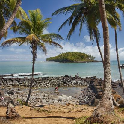 Voyage en Guyane - Agence de Voyage Locale Guyane Evasion