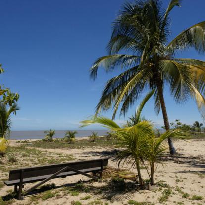 Voyage en Guyane - Agence de Voyage Locale T'Air Nature Guyane