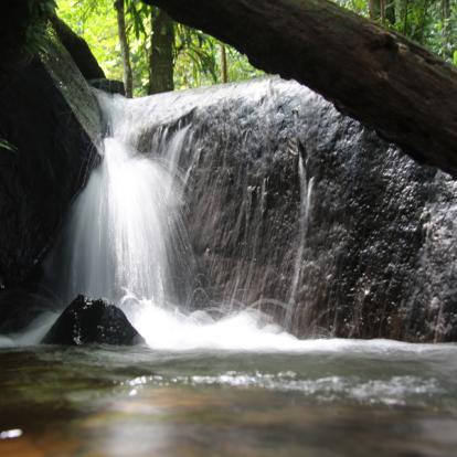 Voyage en Guyane - Agence de Voyage Locale T'Air Nature Guyane