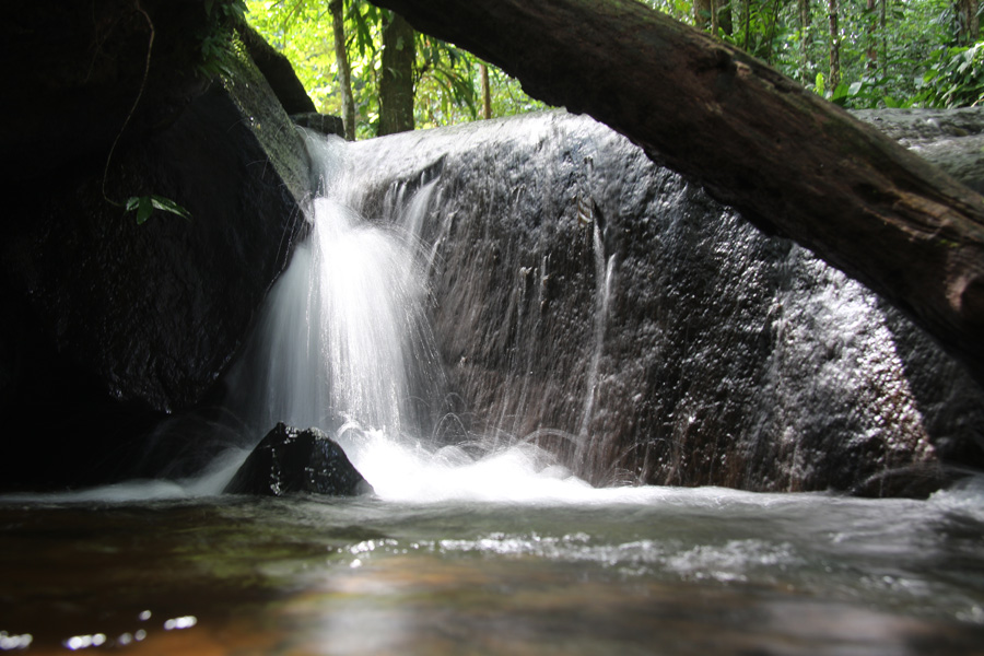 Voyage en Guyane - Agence de Voyage Locale T'Air Nature Guyane