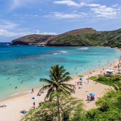 Voyage en Hawaï - Agence de Voyage locale Nohea Adventure
