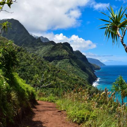 Voyage en Hawaï - Agence de Voyage locale Nohea Adventure