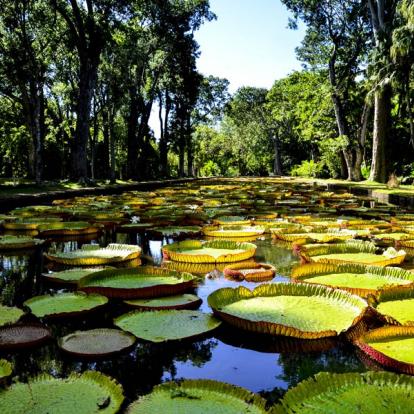 Voyage en Ile Maurice - Agence de Voyage Locale Connnections