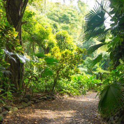 Voyage en Ile Maurice - Agence de Voyage Locale Connnections