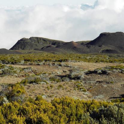 Voyage à l'Ile de La Réunion - Treks sur Mesure à la Réunion avec Marianne et Chris