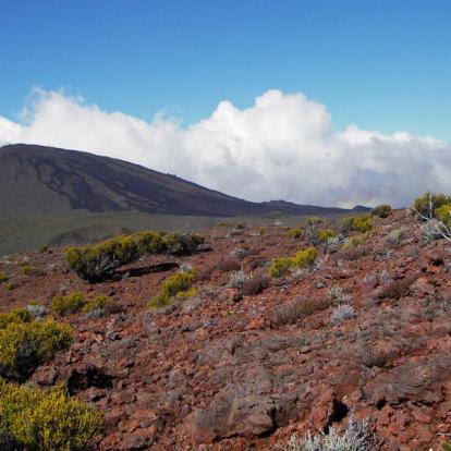 Voyage à l'Ile de La Réunion - Treks sur Mesure à la Réunion avec Marianne et Chris