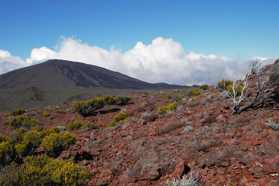 Voyage à l'Ile de La Réunion - Treks sur Mesure à la Réunion avec Marianne et Chris