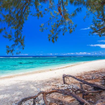 L'Hermitage - Plage des Filaos Voyage en Ile de La Réunion - Agence de Voyage Locale Sentiers et Découvertes