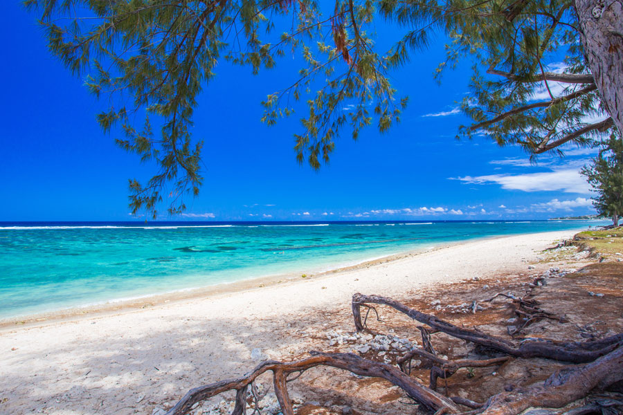 Voyage en Ile de La Réunion - Agence de Voyage Locale Sentiers et Découvertes