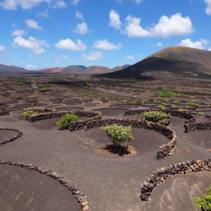Lanzarote - La Geria Voyage aux Iles Canaries - Agence de Voyage Locale Lanzatour Canarias