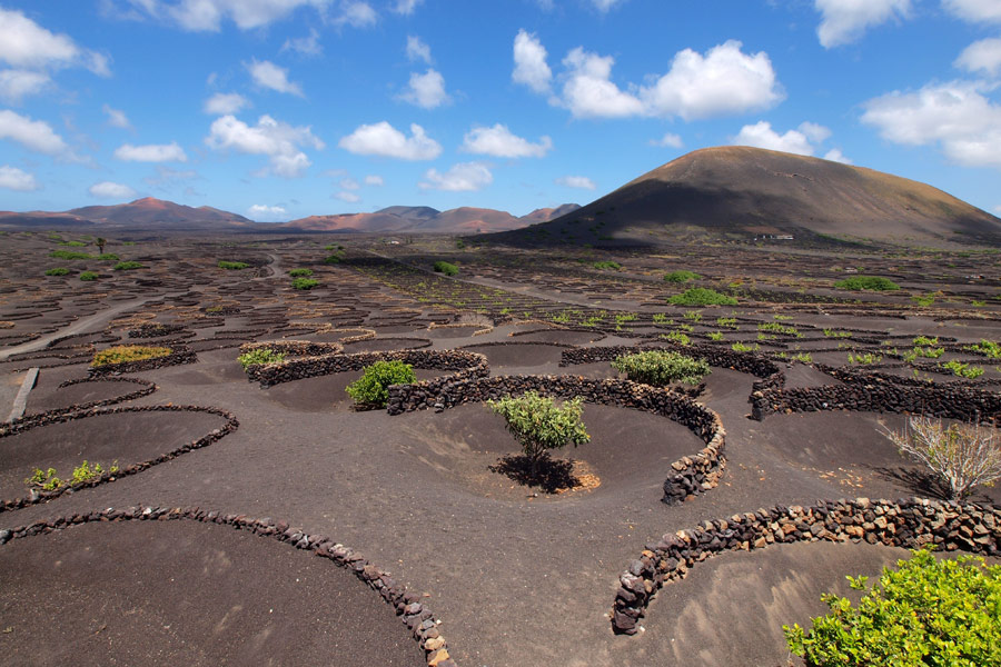 Voyage aux Iles Canaries - Agence de Voyage Locale Lanzatour Canarias