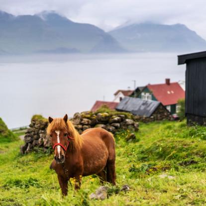 Voyage aux Iles Féroé - Agence de Voyage Locale V·O·S