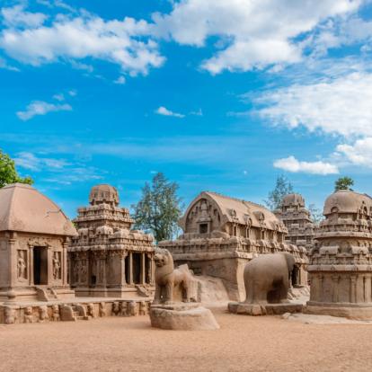 Voyage en Inde - Agence de Voyage Locale Shanti Travel