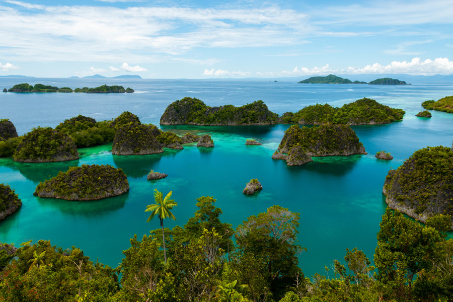 Raja Ampat - Pulau Wayag archipelago Voyage en Indonésie - Agence de Voyage Shanti Travel