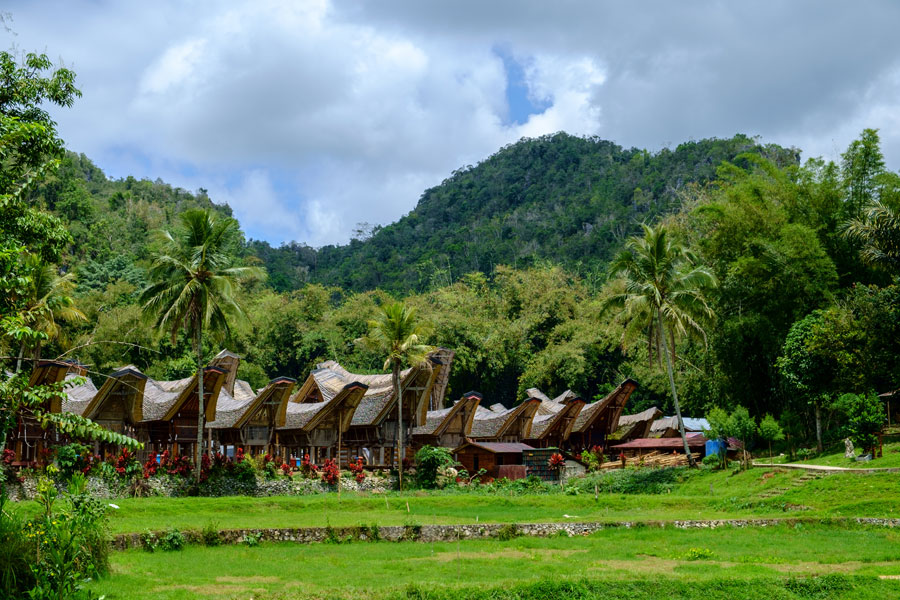 Sulawesi - Tana Toraja Voyage en Indonésie - Agence de Voyage Shanti Travel