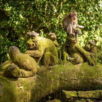 Bali - Ubud - Sacred Monkey Forest Voyage en Indonésie - Agence de Voyage Shanti Travel