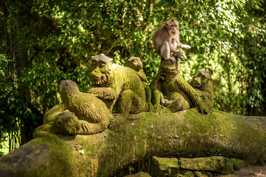 Voyage en Indonésie - Agence de Voyage Shanti Travel