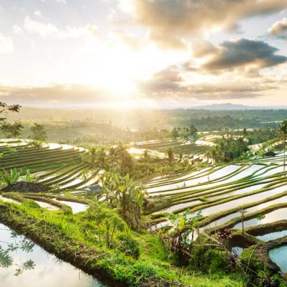 Voyage en Indonésie - Agence de Voyage Locale Talisman Asia