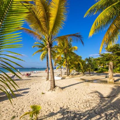 Voyage en Jamaïque - Agence de Voyage Locale Latitude Jamaica