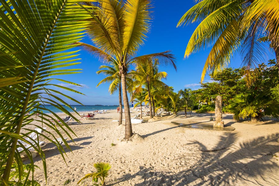 Voyage en Jamaïque - Agence de Voyage Locale Latitude Jamaica