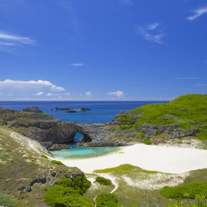 Voyage au Japon - Agence de Voyage Locale Tokyo City Tour