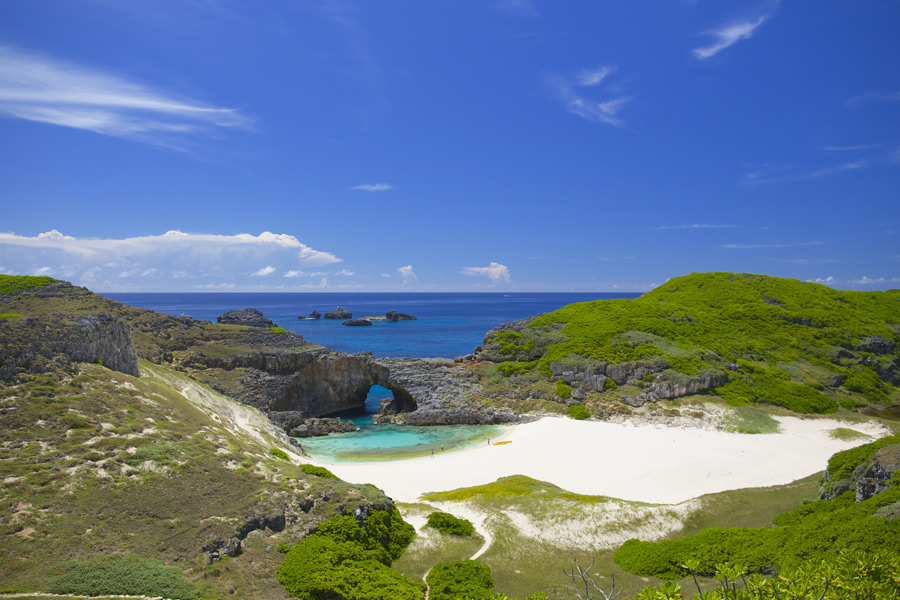 Voyage au Japon - Agence de Voyage Locale Tokyo City Tour