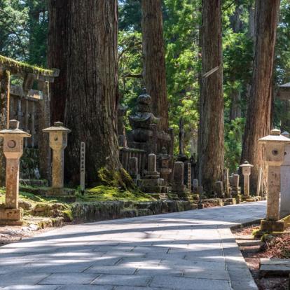 Voyage au Japon - Agence de Voyage Locale Tokyo City Tour