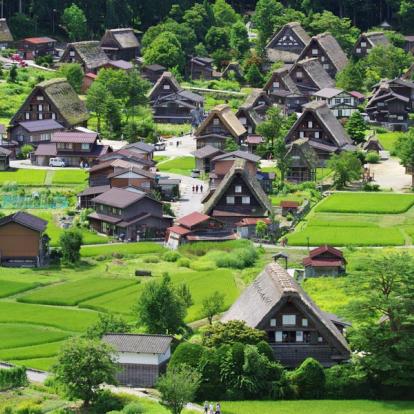 Voyage au Japon - Agence de Voyage Locale Tokyo City Tour