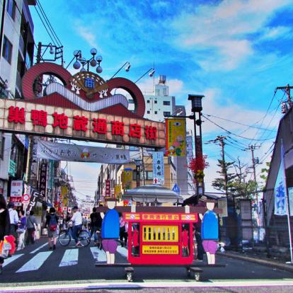 Voyage au Japon - Guide Professionnel / Tokyo Trip