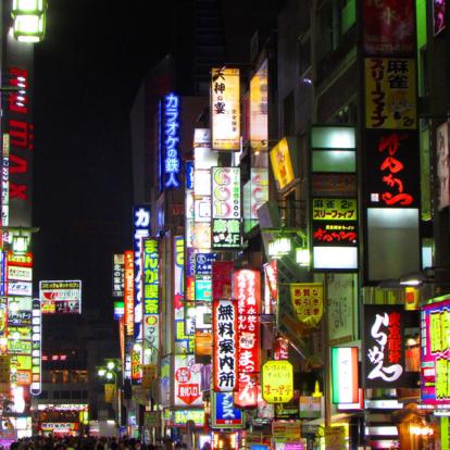 Voyage au Japon - Guide Professionnel / Tokyo Trip