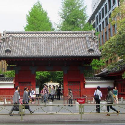 Voyage au Japon - Guide Professionnel / Tokyo Trip