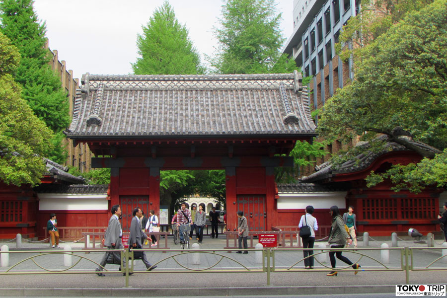 Voyage au Japon - Guide Professionnel / Tokyo Trip